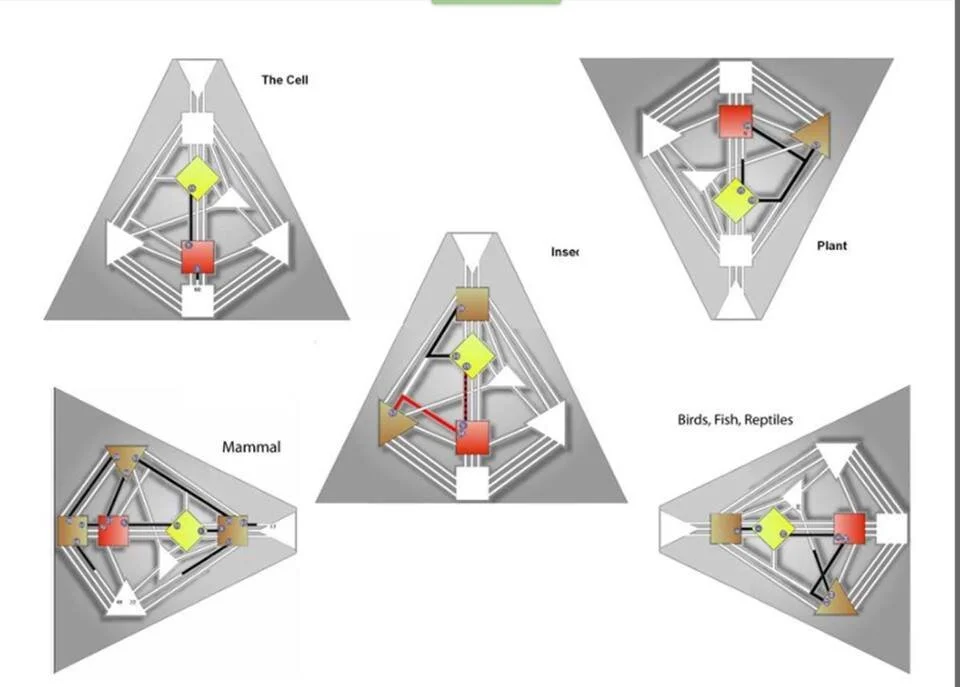 Human Design System, the Design of Forms. Credit: JovianArchive.com