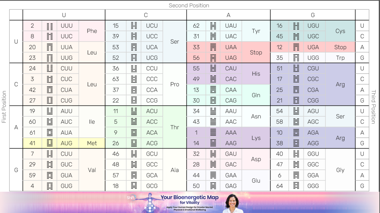 Codon Codes Human Design System by Ra Uru Hu (copyright Jovian Archive, source of the Human Design System) used with permission